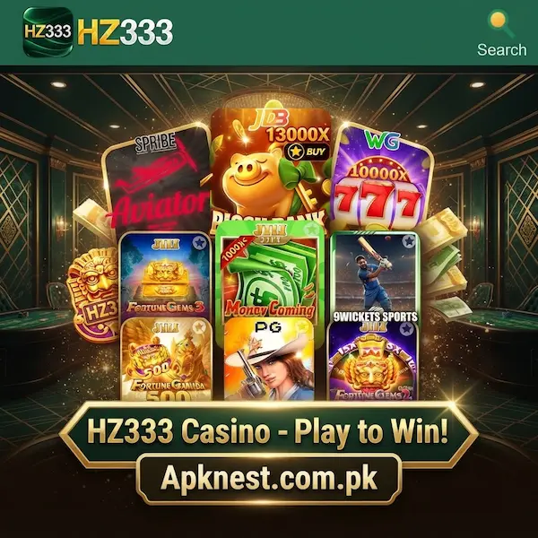 HZ333