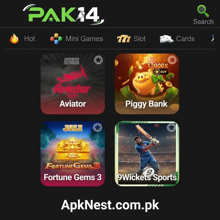 Pak14 Game